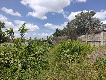 Land for sale in Runda, Westlands