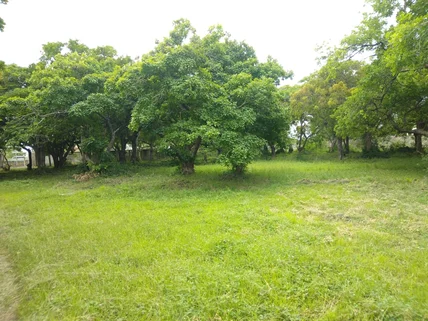 Land for sale in Shanzu, Mombasa