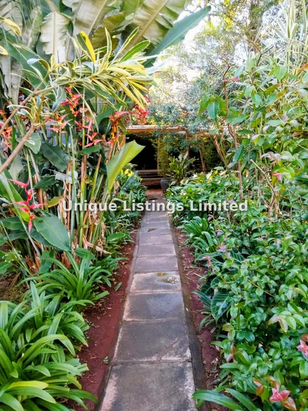 1-bedroom House for rent in Kitisuru