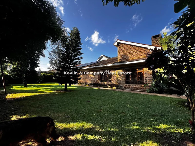 Commercial Property for rent in Westlands Area