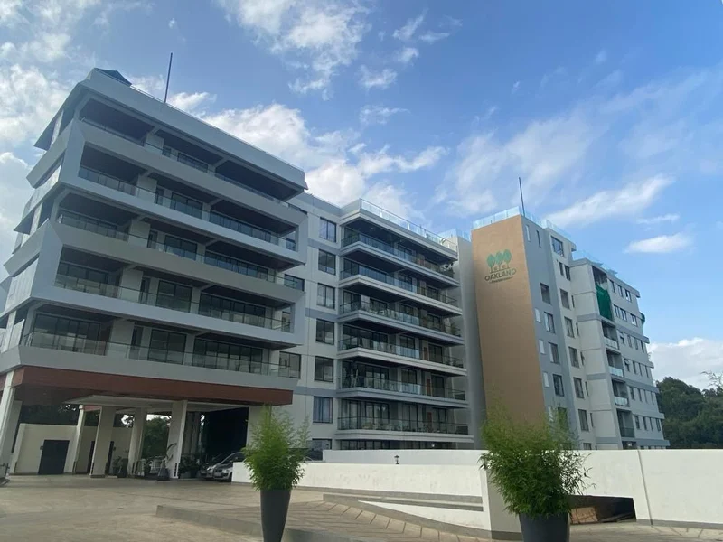 Furnished 4-Bedroom Apartment For Rent In Spring Valley