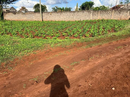 Land for sale in Kitisuru, Westlands