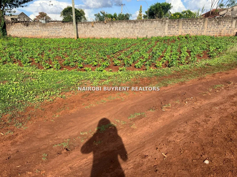 Land for sale in Kitisuru