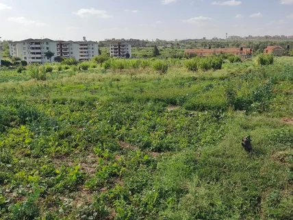 Commercial Land for sale in Syokimau, Machakos County