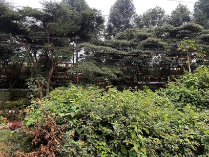 Land for sale in Ruaka, Kiambu County