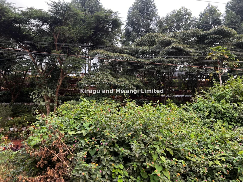 Land for sale in Ruaka