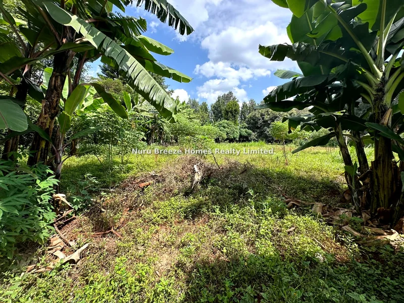 Land for sale in Muthaiga