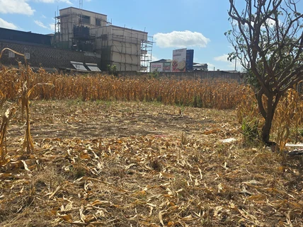 Land for sale in Kamakis, Ruiru
