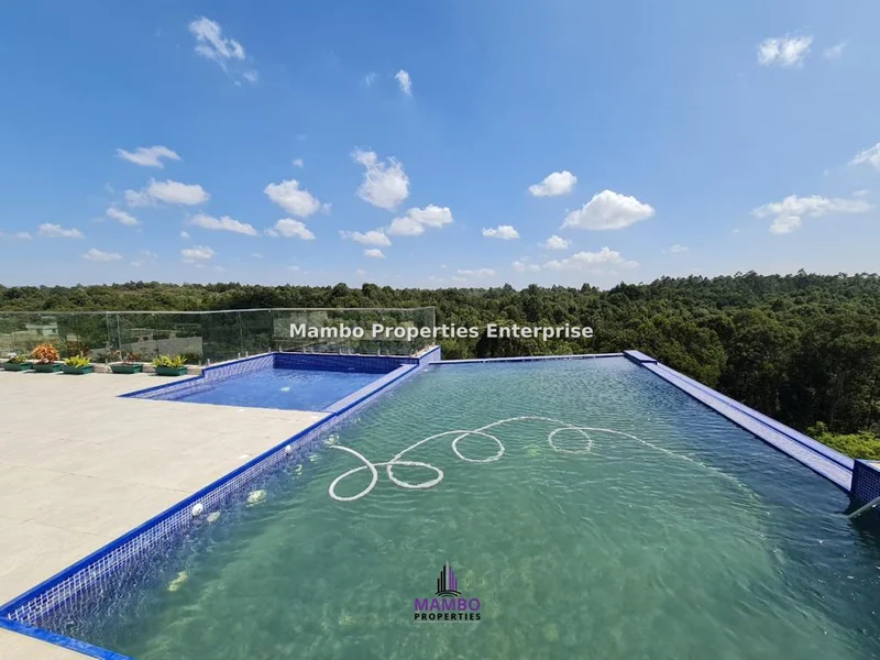 2-bedroom Apartment for rent in Spring Valley