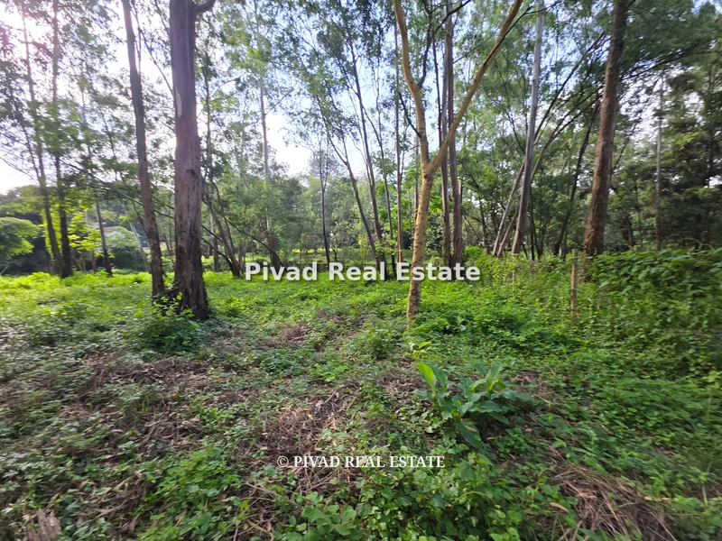 Land for sale in Kitisuru