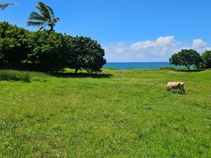 Land for sale in Bofa, Kilifi County