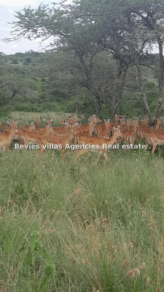 Land for sale in Parklands