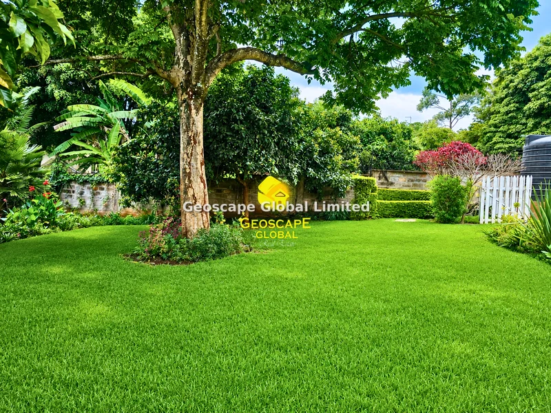 4-bedroom House for rent in Kitisuru