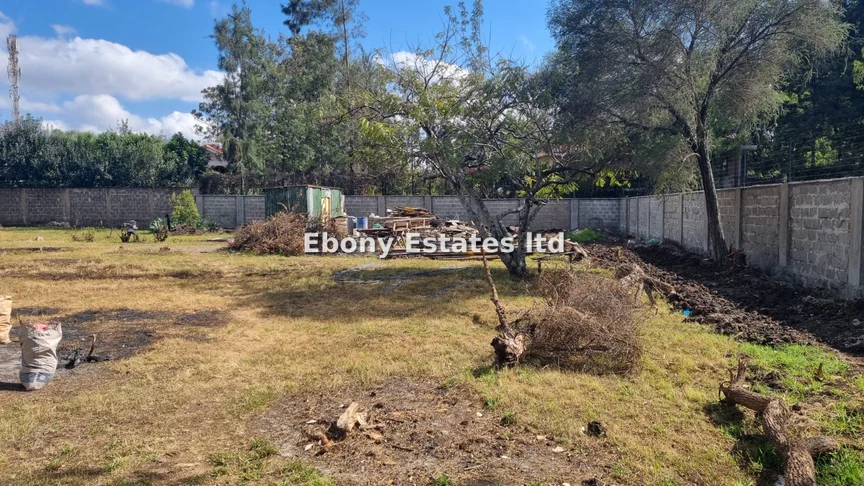 Commercial Property for rent in Karen