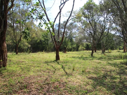 Residential Land for sale in Karen, Nairobi