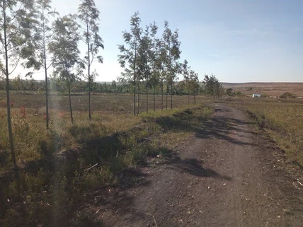 Land for sale in Athi River, Machakos County