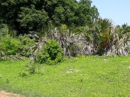 Land for sale in Vipingo, Kilifi County