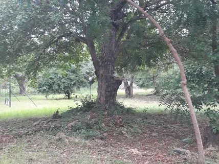 Land for sale in Nyali Area, Nyali