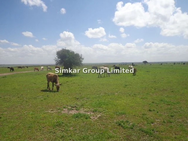 Commercial Land for sale in Kitengela