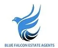 Blue Falcon Estate Agent