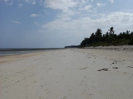 Commercial Land for sale in Kikambala, Kilifi County