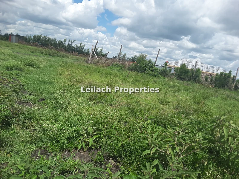 Thumbnail 13