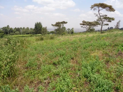 Residential Land for sale in Ngong, Kajiado County