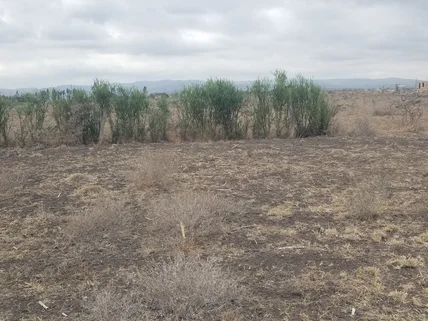 Land for sale in Athi River, Machakos County