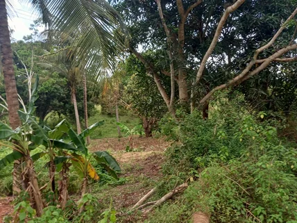 Land for sale in Diani, Kwale County