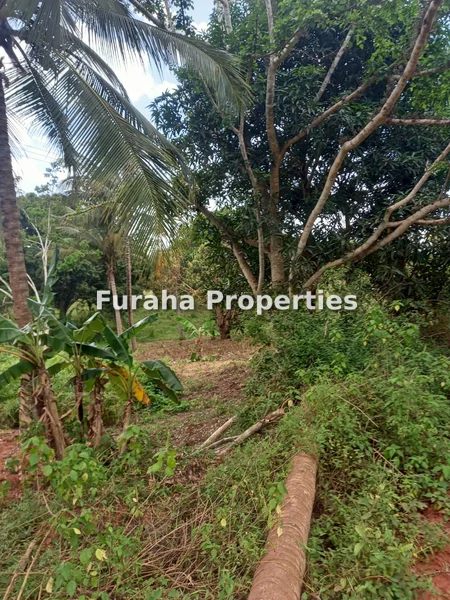 Land for sale in Diani