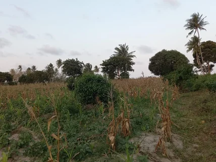 Commercial Land for sale in Kikambala, Kilifi County
