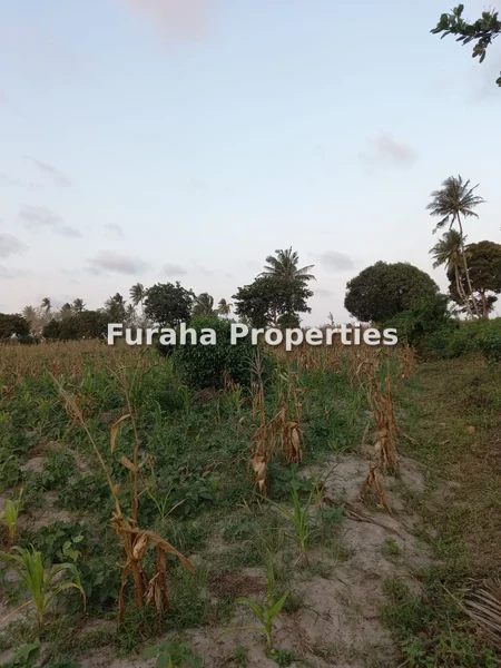 Commercial Land for sale in Kikambala