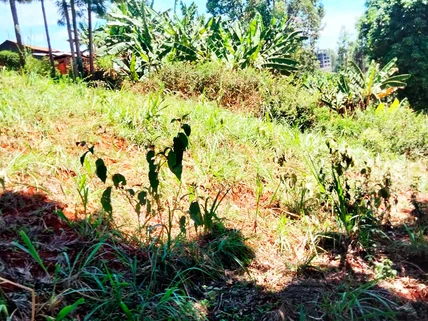 Land for sale in Kiambu Road, Nairobi