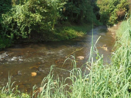 Land for sale in Nyeri