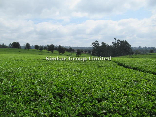 Land for sale in Kiambu Town