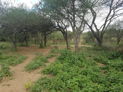 Land for sale in Bisil, Kajiado County