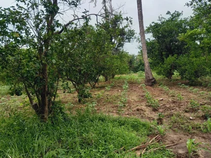 Land for sale in Kikambala, Kilifi County