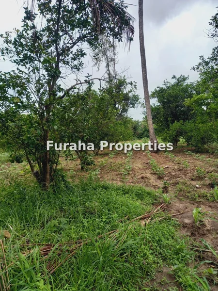 Land for sale in Kikambala