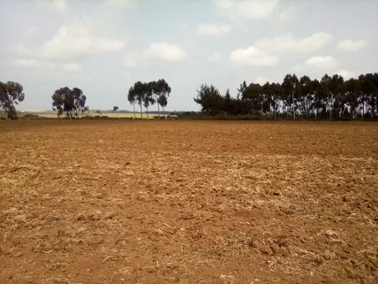 Land for sale in Meru