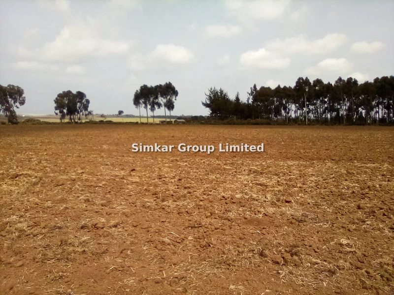Land for sale in Meru