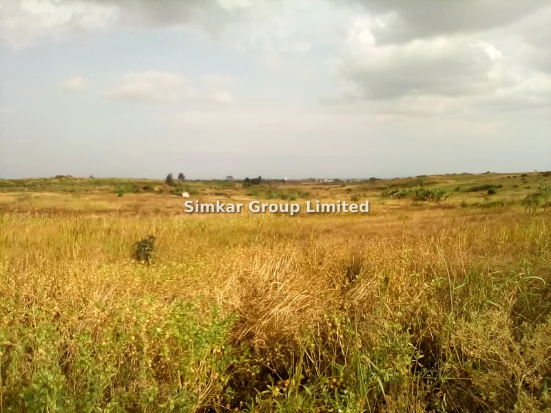 Land for sale in Tatu City