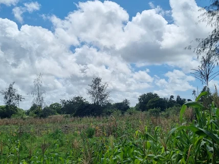 Land for sale in Mtwapa, Kilifi County