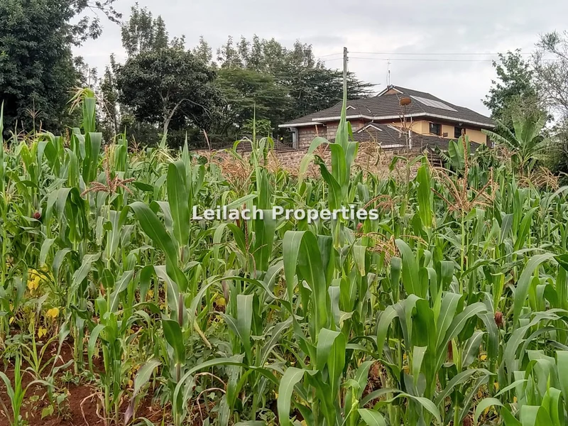 Residential Land for sale in Ngong