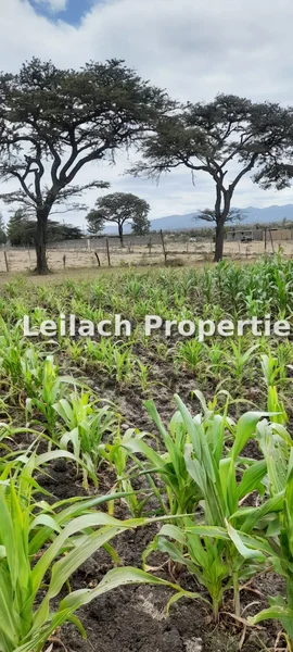 Residential Land for sale in Ongata Rongai