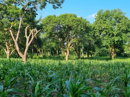 Land for sale in Mtwapa, Kilifi County