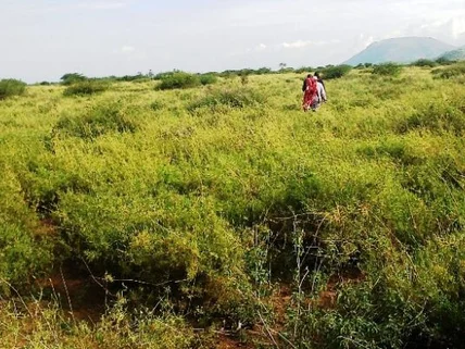 Land for sale in Kiserian, Kajiado County