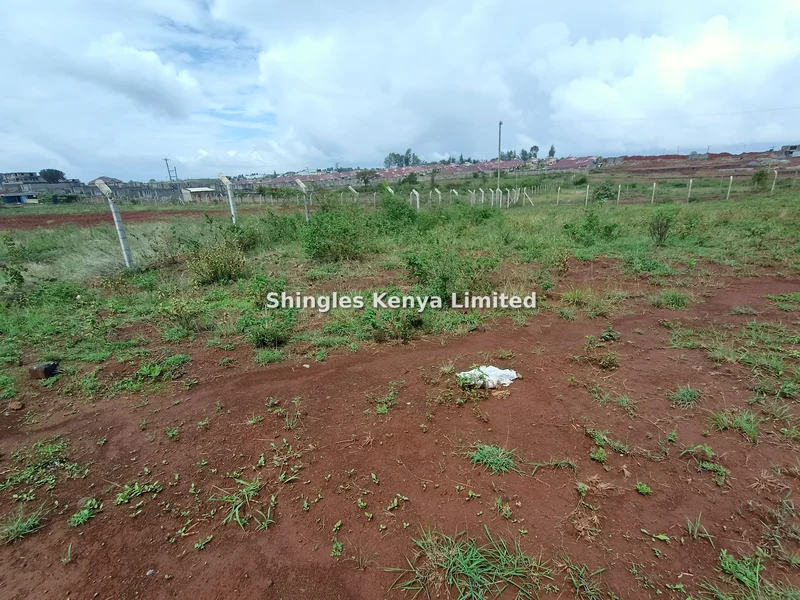 Land for sale in Tatu City