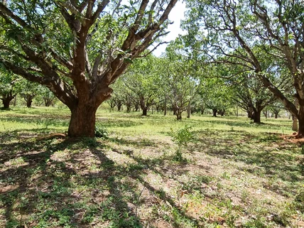 Land for sale in Mtwapa, Kilifi County