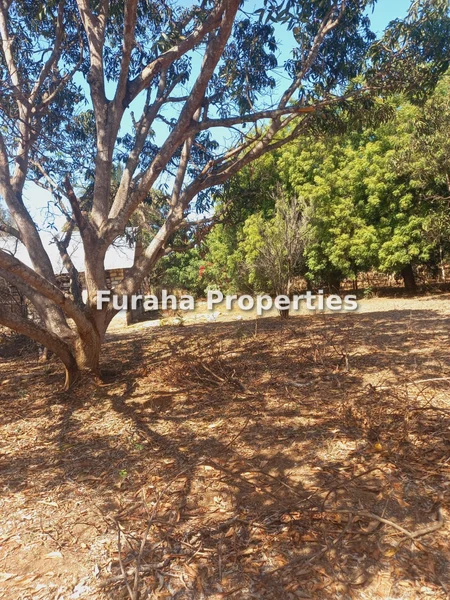 Land for sale in Malindi