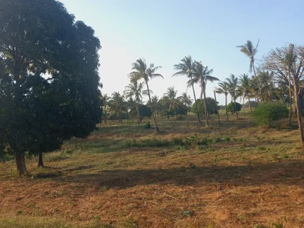 Land for sale in Kilifi County